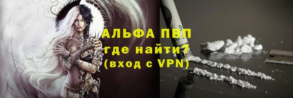 сатива Корсаков