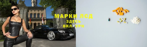 прущие грибы Куйбышев