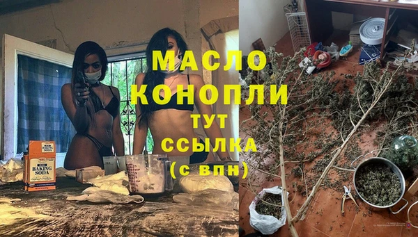 сатива Корсаков