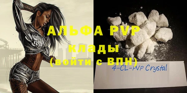 сатива Корсаков