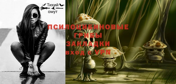 прущие грибы Куйбышев