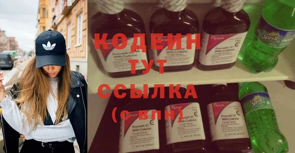 сатива Корсаков