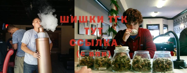 сатива Корсаков