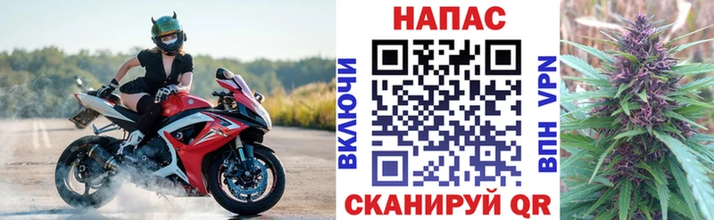 Каннабис индика  Купить  Сосенский 